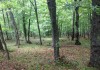 Фото Земельный участок 15 соток в Крымском лесу г.Ялта