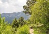 Фото Земельный участок 10 соток с панорамным видом на горы в г. Ялта
