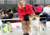 Фото Шоу класса щенки японской акиты-ину