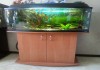Продам аквариум Aquael PEARL 80 (102 л)
