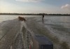 Фото Морские прогулки катание на катере.Активный отдых.