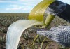 Фото Питьевые соки Алоэ Вера и продукция на основе Алоэ Вера