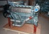 Фото Двигатель HOWO WD615.69 Евро-2 336 л/с (ОРИГИНАЛ)