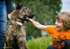 Фото Когда природой завещана верность