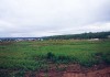 Фото Участок 7,4 соток на берегу Клязьминского водохранилища
