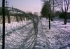 Фото Спиральный барьер безопасности "ЕГОЗА" (600 мм; 450 мм; 900 мм)