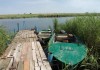 Фото Продается ферма Ростовская область река Маныч, земля 50га в собственности