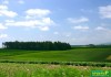 Фото Продаётся земельный участок в СНТ "Куликово поле" Калужская область, Обнинск