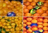 Фото Свежие овощи и фрукты из Турции