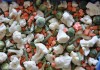Фото Замороженные овощи: капуста брокколи, цветная капуста, шампиньоны, фасоль стручковая