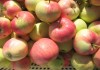 Вкуснейшие яблоки из фермерского сада