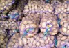 Фото Продажа картофеля в Томске, напрямую от производителей, мелким и большим оптом!