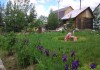 Фото Продаю ухоженный дачный участок с постройками