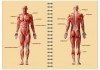 Фото Фитнес-ежедневники оптом и в розницу