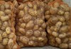 Фото Продовольственный и семенной картофель оптом