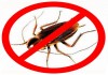 Фото Санобработка от тараканов, клопов и других насекомых!