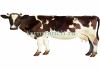 Фото Электропастух для крс коров