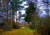 Фото Продаю участок с домом, Новая Ропша, на Ропшинском шоссе, от Стрельны на 15 км
