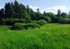 Фото Низкая цена за сотку земли
