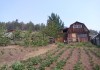 Фото Дача